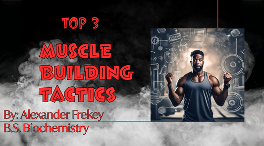 Top 3 Muscle Building Tactics