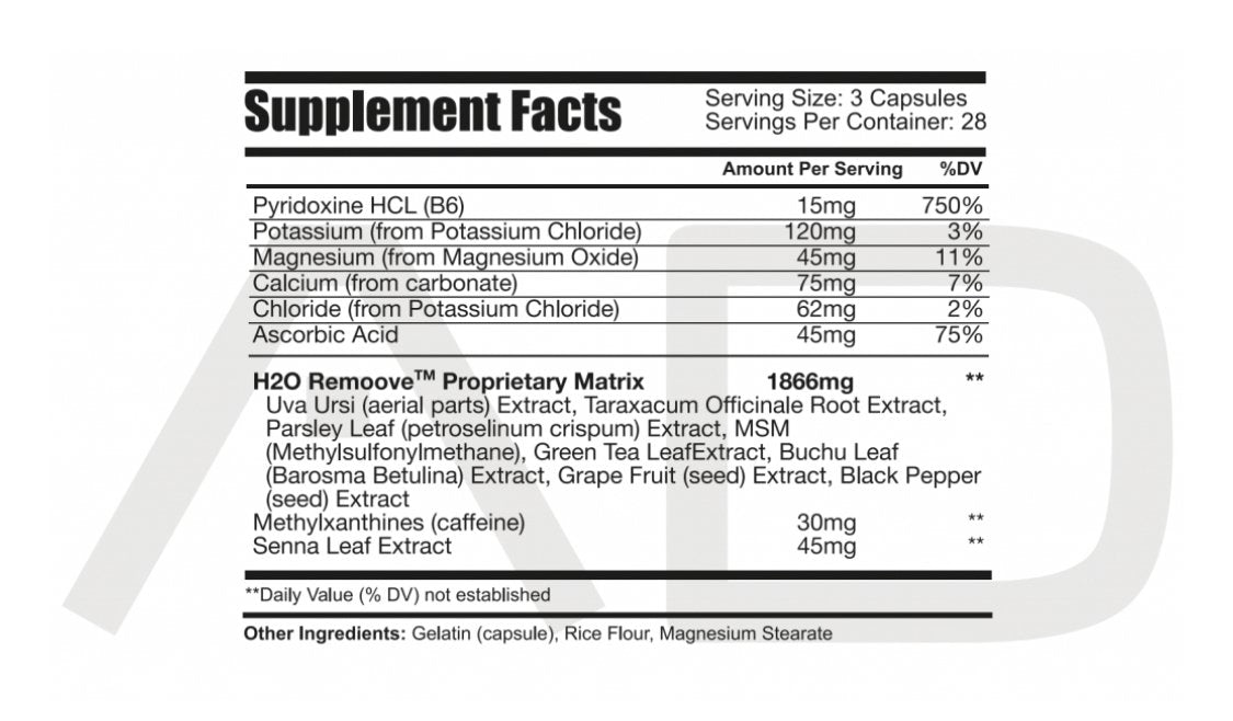 Project AD H20 Remoove