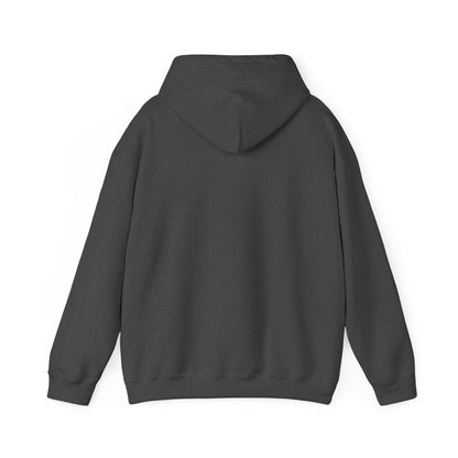 Minimalist Performance Supplements Hoodie