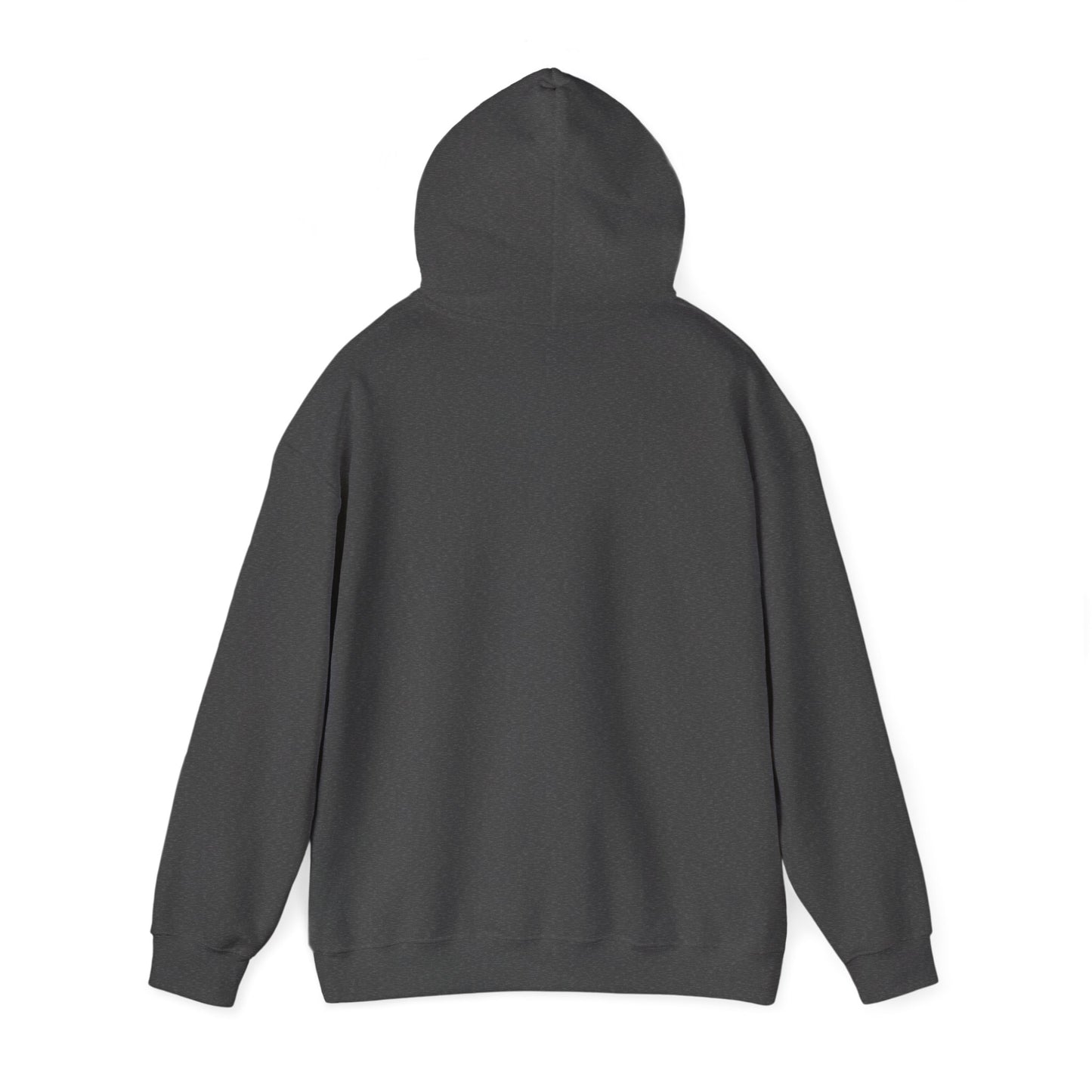 Minimalist Performance Supplements Hoodie