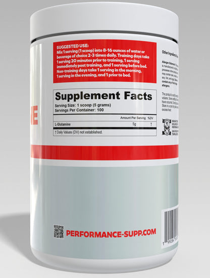 Performance L-Glutamine 100 serv